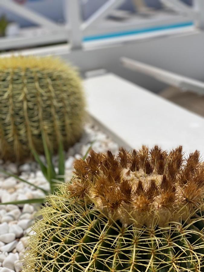 Flower Beach Deluxe Playa Honda  Exterior foto
